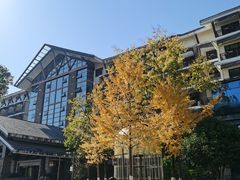 -三江森林温泉度假区