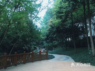 饭后散步超舒适的地方‍♀️