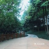 饭后散步超舒适的地方🚶♀️