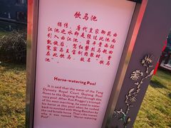 -西安曲江寒窑遗址公园