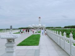 -呼兰河口湿地公园