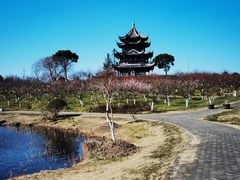 -上海海湾国家森林公园