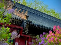-北京市劳动人民文化宫(太庙)