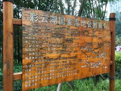 -重庆彩云湖湿地公园