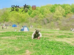 -羊山湖公园