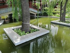 -迎泽公园