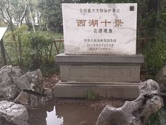 -西湖外事游船(花港观鱼码头)