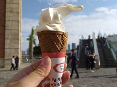 -富豪雪糕车流动点(尖沙咀店)
