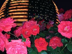 -钱江新城灯光秀