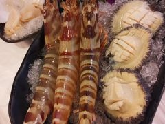 -鲜入围煮花胶鸡海鲜火锅