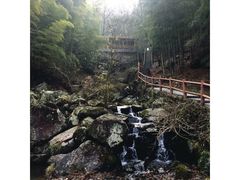 -藏龙百瀑风景区