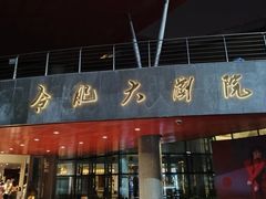 -合肥大剧院