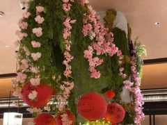 -阿露佳·舌尖上的安吉菜