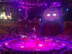 -俄罗斯国家大马戏团