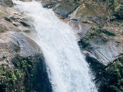 -九龙江国家森林公园