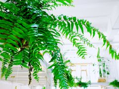 -CHILLAX轻乐时(侨建·Hi City店)