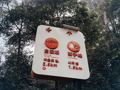 -缙云山景区