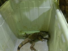 -西安华夏文旅水世界