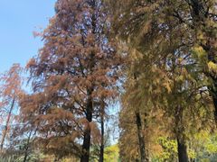 -南国桃园旅游度假区