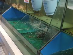 -兄弟爬爬虾(北京路店)