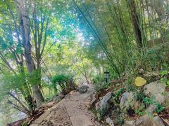-南诏风情岛
