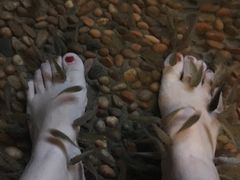 -泉城欧乐堡戏水湾艺术养生温泉