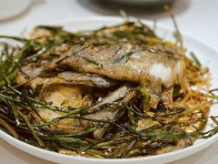 -老吉士酒家(天平路店)