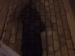 -上海交通大学医学院附属仁济医院(南院)