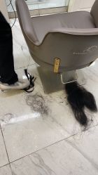 -潘多拉Hairsalon