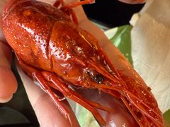 -巴厘龙虾·榜首油焖大虾(音乐学院·沿江酒馆店)
