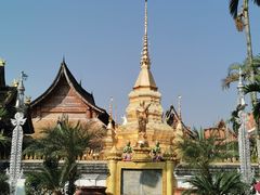 -西双版纳傣族园