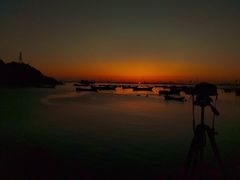 -枸杞岛