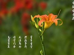 -王之雄社区养生馆(上海春城店)