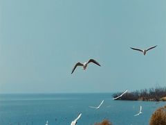 -捞渔河湿地公园