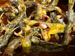 -金海椒罐罐鲢鱼(东方桂苑店)