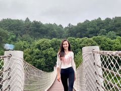 -铁山坪森林公园