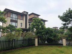 -美的鹭湖森林度假区