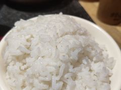 软饭-蛙小侠(珠海华发商都店)