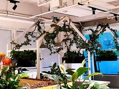 -嘉和一品粥(方庄店)