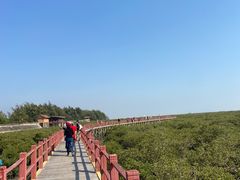 -北海金海湾红树林生态旅游区