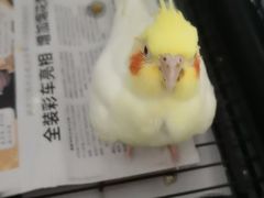 -雨林宠物医院 非犬猫异宠专科