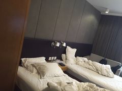 -北京民族园葉子里酒店(鸟巢店)