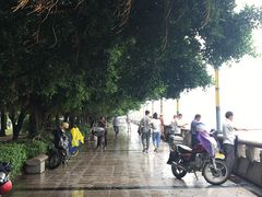 -潮镇老尾牛杂(环城西路店)