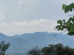 -南丹山森林王国
