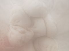 -石饮红星包子(中山路店)