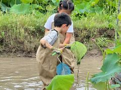 -前小桔亲子创意农场·草莓采摘·露营烧烤