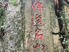 -普陀山风景区-佛顶山
