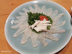 -天正河鲀·河豚亭(大连店)
