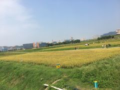 -光明小镇欢乐田园