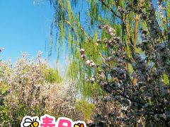 -元大都城垣遗址公园
